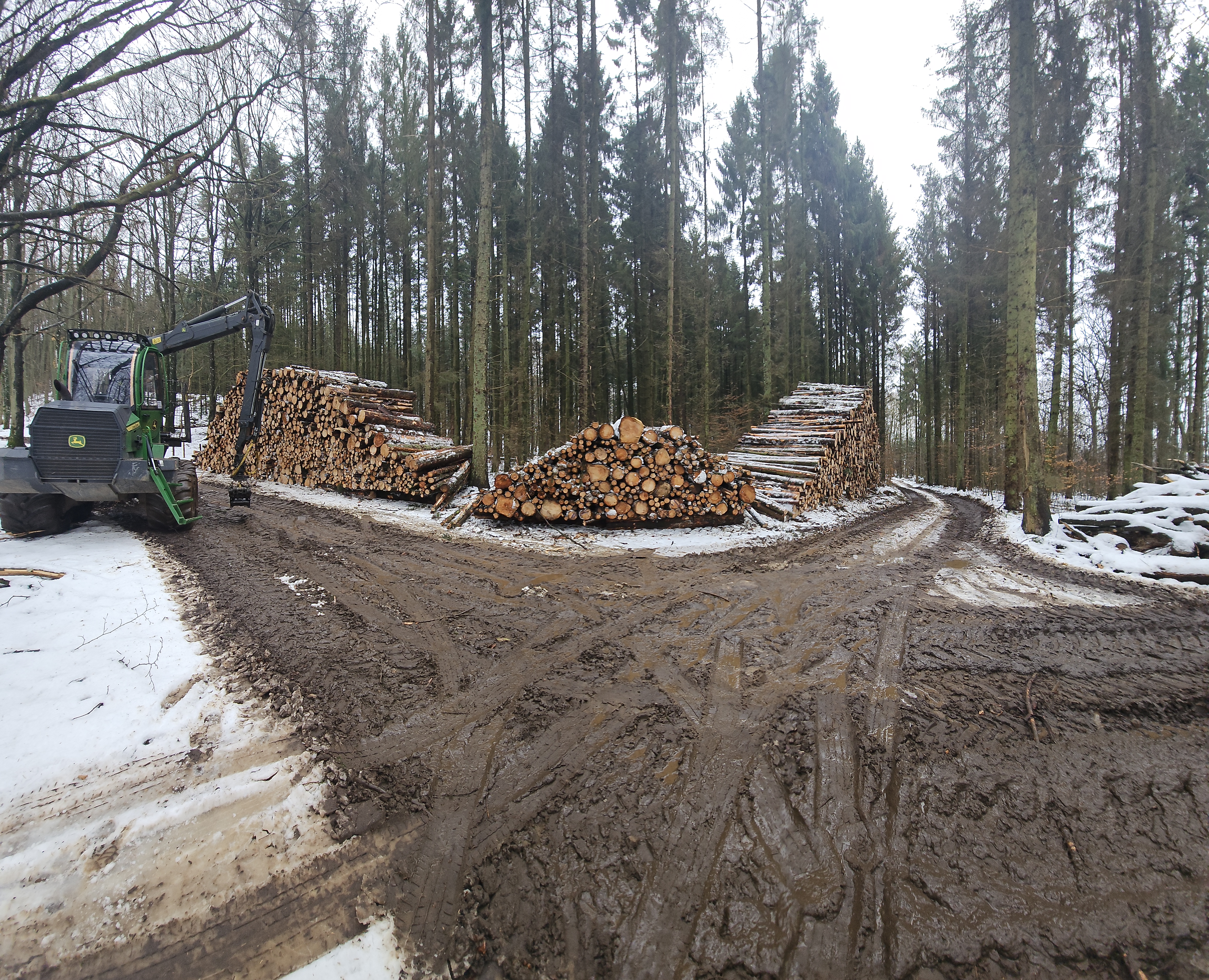 Tynding Af Skov Skovservice Hos AG Skovservice I Skanderborg L s Mere